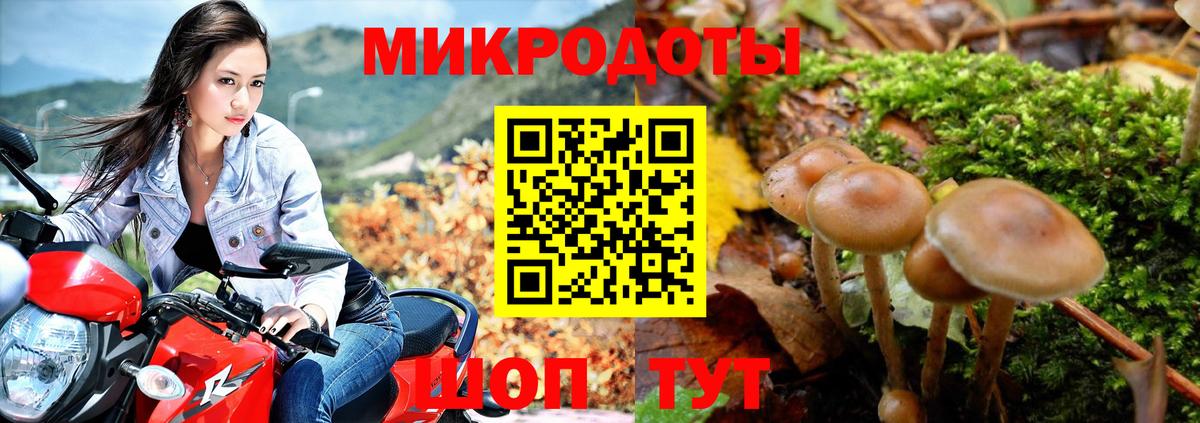 Псилоцибиновые грибы мицелий  Вход с VPN  Тимашёвск 